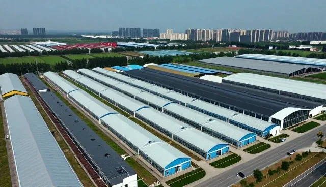性能优化与适用条件:技术外包在区域发展中的实践路径